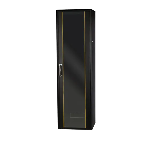 42U 19" 600x600mm Dikili Tip Rack Kabinet